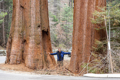 Rear view of man walking in forest