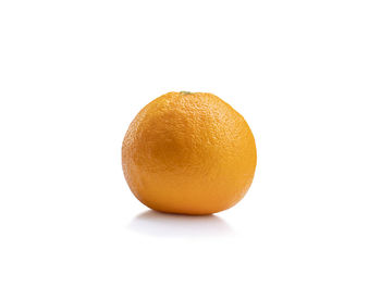 Close-up of orange fruit against white background