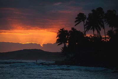 Silhouette palm trees by sea against sky during sunset