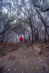 Rear view of man standing in forest
