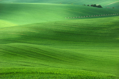 Scenic view of green landscape