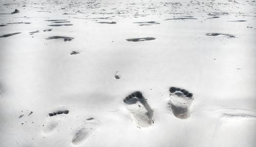 High angle view of footprints on wet sand