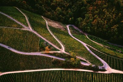 High angle view of trail on landscape