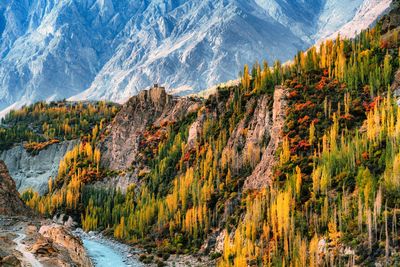Scenic view of mountains