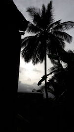 Low angle view of silhouette palm trees against sky