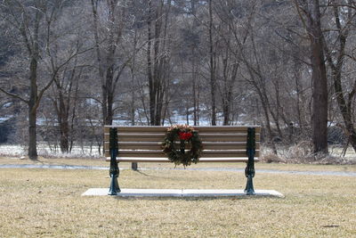 Bench in park