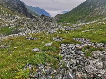 Scenic view of stream flowing through rocks