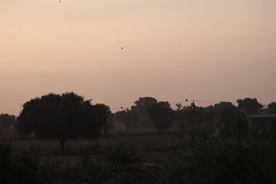 Silhouette of bird flying against sky during sunset