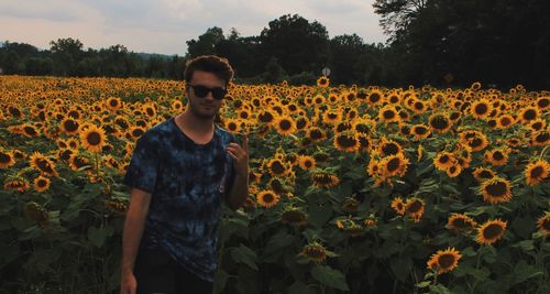 Portrait of man pointing while standing at sunflower farm