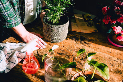 High angle view of hand holding potted plant on table