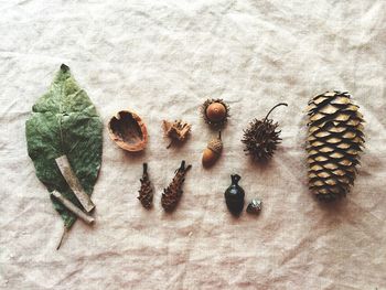 Close-up of food on table