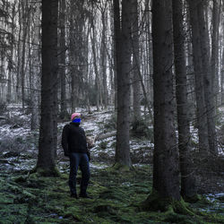 Rear view of man standing amidst trees in forest