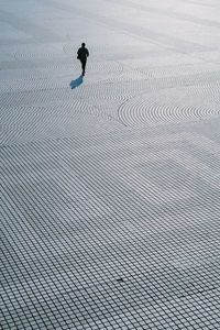 Full length of bird on landscape