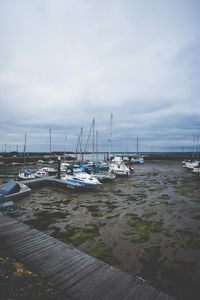 Sailboats moored in harbor