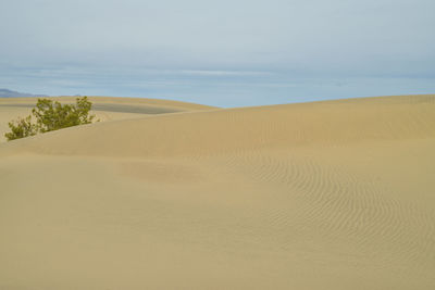 Scenic view of desert against sky