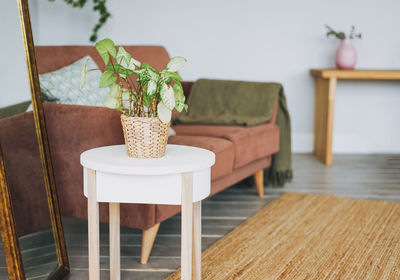 Potted plant on table at home