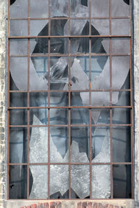 View of bird in cage