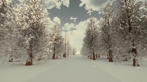 Nature scenery snow road winter forest 3d rendering