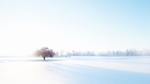 Scenic view of snow covered landscape