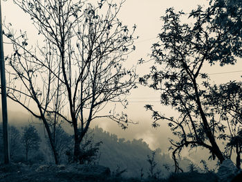 Silhouette bare trees against sky during foggy weather