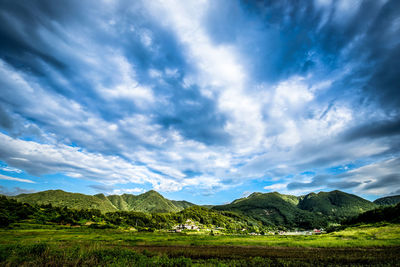 Scenic view of field against sky