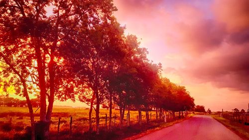 Trees on landscape against sky at sunset