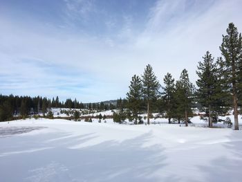 Trees on snow covered landscape against sky