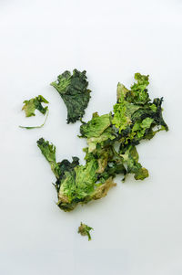 High angle view of vegetables against white background