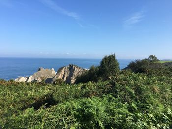 Scenic view of sea against clear blue sky