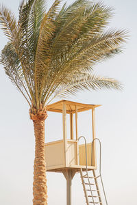 Beautiful tall palm tree and lifeguard tower on the beach by the ocean against the sky