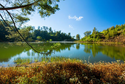 Scenic view of lake in forest against sky