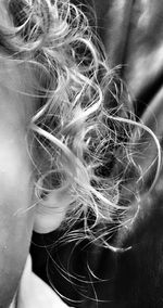 Close-up of woman in hair