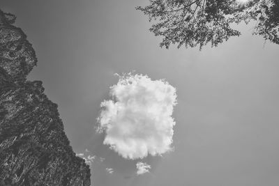 Low angle view of trees against sky