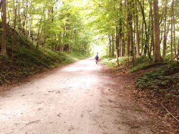 Rear view of person riding bicycle on dirt road in forest