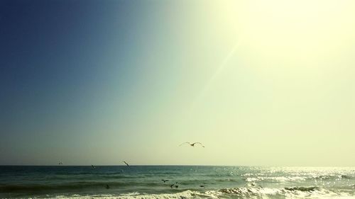 Scenic view of sea against clear sky