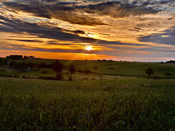 Scenic view of field against sky during sunset