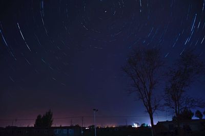 Low angle view of silhouette trees against sky at night