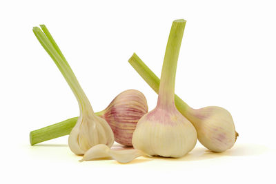 Close-up of garlic against white background