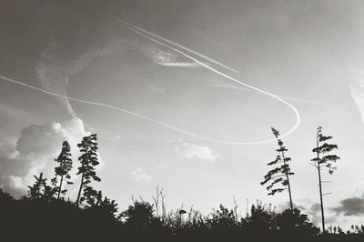 Low angle view of trees against sky