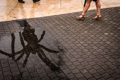 Low section of people walking on footpath with reflection of spider in puddle