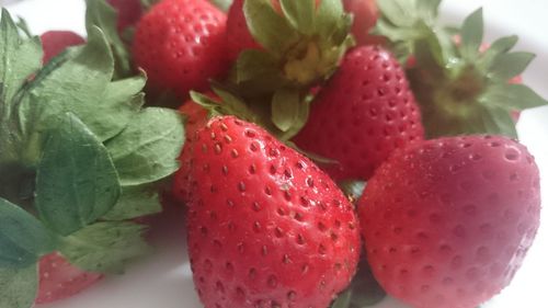 Close-up of strawberries