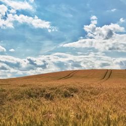 Scenic view of field against cloudy sky