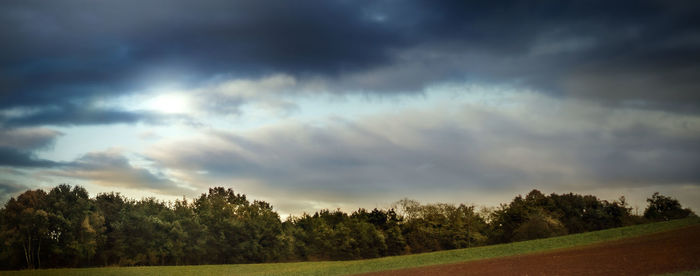 Trees on field against storm clouds