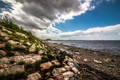 Scenic view of beach against sky