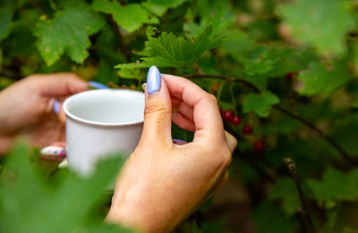 Close-up of woman holding coffee