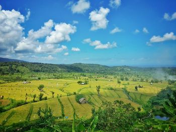 Scenic view of agricultural field against sky