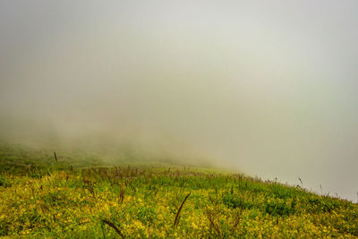 Mountain with green grass and thick clouds