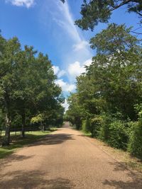 Road amidst trees against sky