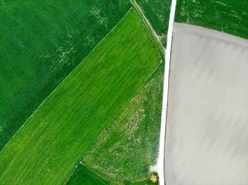 High angle view of green landscape