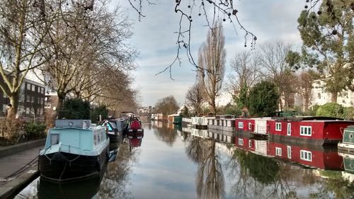 Boats moored on bare trees against sky